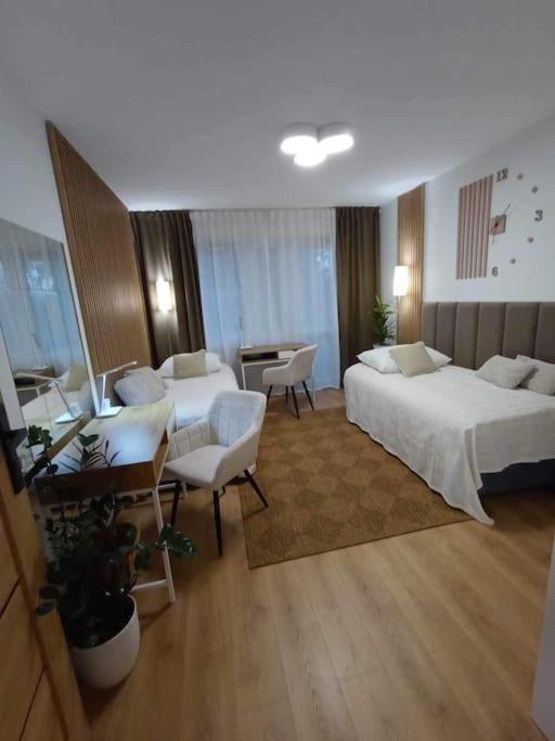 Апартаменты Apartament Podgorna 19 Торунь Экстерьер фото