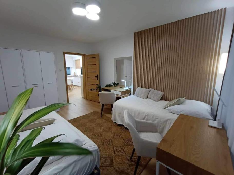 Апартаменты Apartament Podgorna 19 Торунь Экстерьер фото