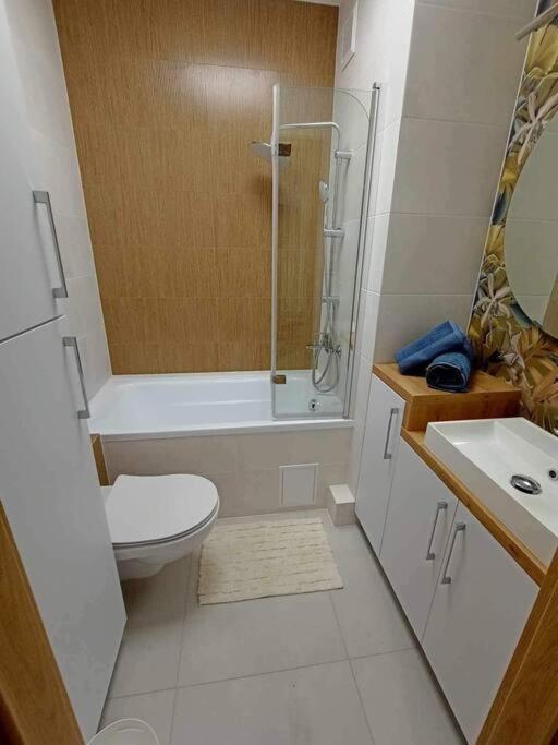 Апартаменты Apartament Podgorna 19 Торунь Экстерьер фото