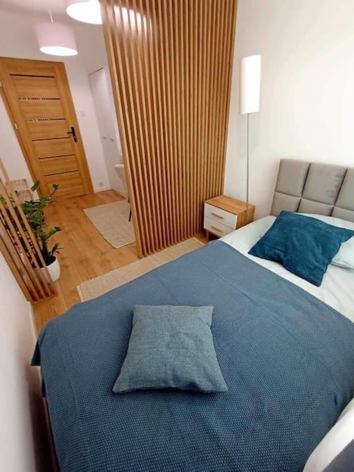Апартаменты Apartament Podgorna 19 Торунь Экстерьер фото