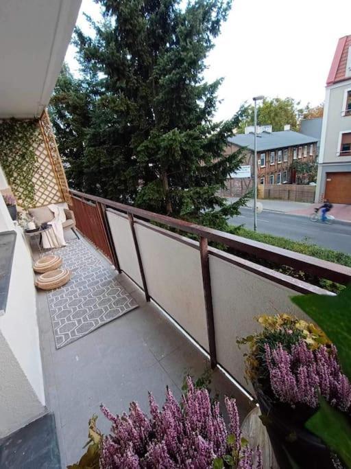 Апартаменты Apartament Podgorna 19 Торунь Экстерьер фото