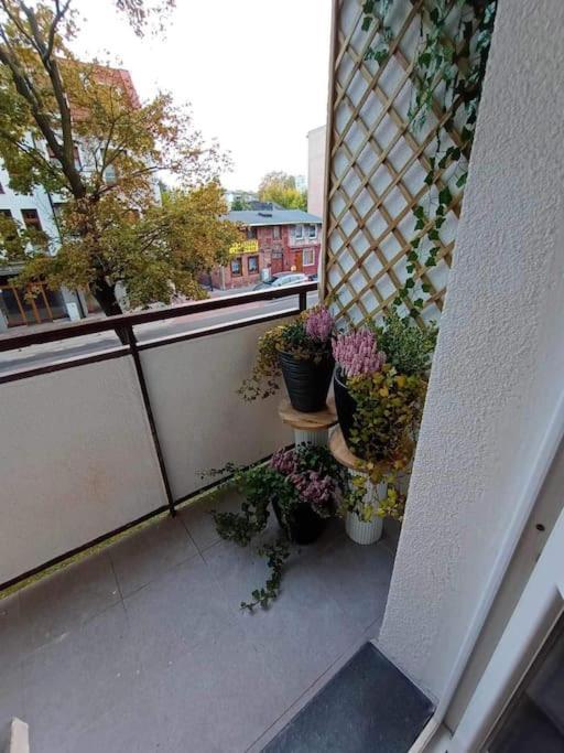 Апартаменты Apartament Podgorna 19 Торунь Экстерьер фото